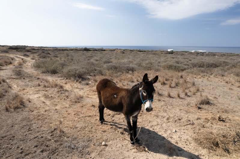 Santa Irini Therasia Retreat